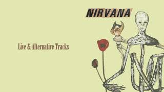 Nirvana  Incesticide Full Album Live amp Alternative Tracks [upl. by Notserc]