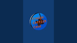 Craigs catfish cave is live [upl. by Carmelita]