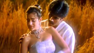 Vevela Mainala Video Song  Badri Movie  Pawan Kalyan Amisha Patel  Volga Music Box [upl. by Nawotna605]