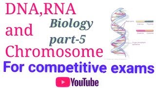 Biology DNA amp RNA डी एन ए और आर एन ए का संपूर्ण अध्ययन [upl. by Woolley]