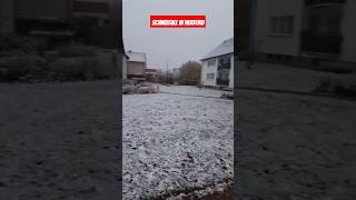 Schneefall in Herford durch Luftmassengrenze mit Sturmtief snow viralvideo snowfall winter [upl. by Tilford]