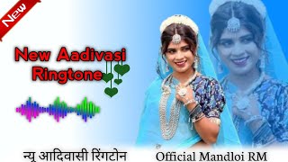 New Aadivasi Ringtone 🥰 New Adivasi Song 2024  Official Mandloi RM new adivasi song 2024 [upl. by Anegroeg]