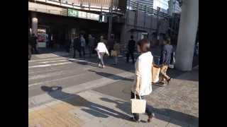 Hamamatsucho  Walking Towards Station 浜松町駅へ向かう 130509 [upl. by Vitalis]