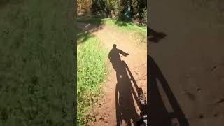 fox mtb rockshox rose downhill gopro bikelife mountainbike [upl. by Latham]