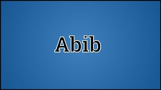 What Abib Means [upl. by Niemad]