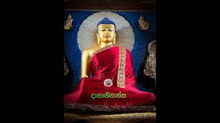 දානානිසන්ස දේශනා [upl. by Burger]