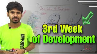 3rd week of development detail explanation in bangla [upl. by Acino]