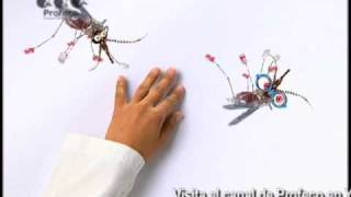 Repelente de mosquitos quotRevista del Consumidor TVquot 305 [upl. by Phil357]