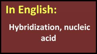 Hybridization nucleic acid arabic MEANING [upl. by Keiryt]