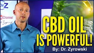 The BENEFITS Of CBD Oil For ANXIETY amp DEPRESSION  Dr Nick Z [upl. by Oxford]