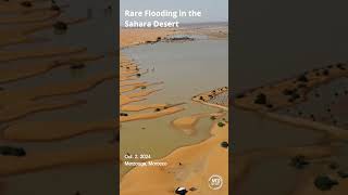 VIDEO Rare Flooding in the Sahara Desert [upl. by Brunk258]