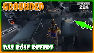 Ich finde das Rezept der infizierten Mutterspinne 224 🐞 Grounded 🍀 Lets Play Deutsch [upl. by Ddot]