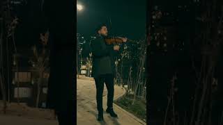 Obiymy  Okean Elzy Reza Tarighat violin music shorts [upl. by Samella]