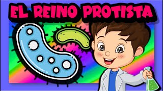 El reino protista 🦠🧫🌿 [upl. by Lorusso]