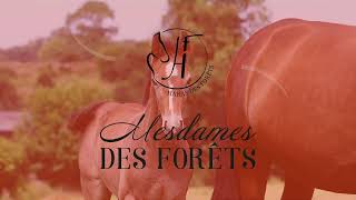 43 NOUMÉA DES FORETS [upl. by Eerased]