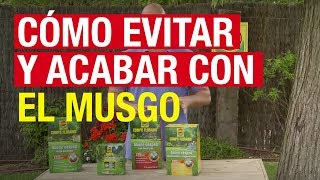 Cómo evitar y acabar con el musgo  COMPO Jardinería [upl. by Alleber]