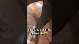 Gradur ne veut jamais s’arrêter 😂 gradur rapfrancais naza [upl. by Lytton278]