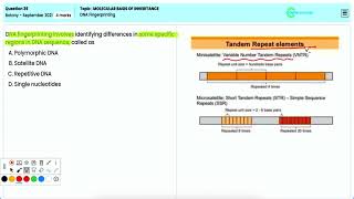 NEET 2021 Key Concepts of DNA Fingerprinting in the Molecular Basis of Inheritance Q39 Explained [upl. by Onitsuaf37]