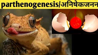 parthenogenesis अनिषेकजननin hindi parthenogenesis in hindi types of parthenogenesis [upl. by Victoir]