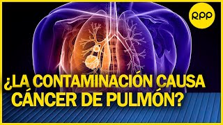 Descubren el mecanismo de cómo la contaminación causa cáncer de pulmón [upl. by Sven]