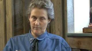 Animals Make Us Human Temple Grandin [upl. by Tarr]