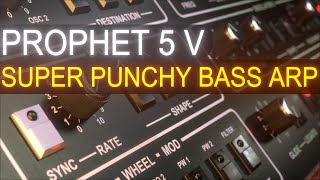 Super Punchy Bass ARP in Arturia Prophet 5 V  Sound Design Tutorial [upl. by Arni931]