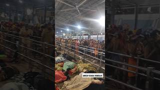 short shorts Sabarimala Ayyappa Swamy Darshanam 2024  Sabari Konda Kerala Sabarimala Ayyappa [upl. by Asereht]