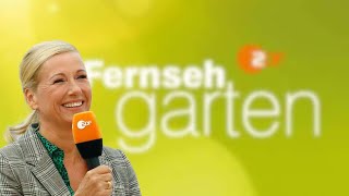 ZDF Fernsehgarten 08092024💯👍 live music party liebe [upl. by Frederique]