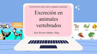 La excreción en animales vertebrados [upl. by Ennoira268]