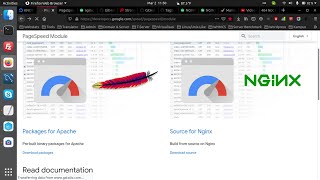 How To Install amp Build NGINX with PageSpeed Module ngxpagespeed from Source  Part 2 EN [upl. by Cohby]