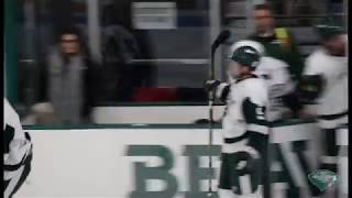 Babson Mens Ice Hockey vs Skidmore 111717 [upl. by Aytac]