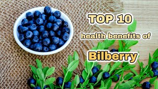 Top 10 Amazing Health Benefits of Bilberry  Health Tips  Sky world [upl. by Beutner904]