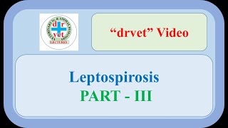 Leptospirosis Part 3 [upl. by Millian]