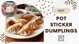 Master Pot Sticker Dumplings Folding amp Cooking Techniques  Thermomix amp Traditional Methods [upl. by Annaeg]