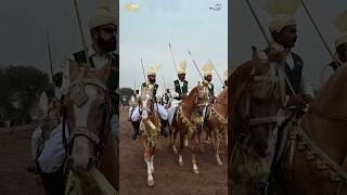 M H Sultania Awan Horse Club Riders riders horse youtubeshorts shorts game fun music sports [upl. by Paulsen77]