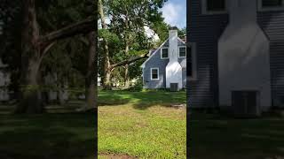 Tornado damage August 21 Wethersfield Connecticut [upl. by Ekoorb]