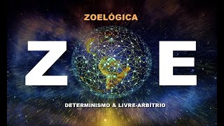 ZOELÓGICA MUSIC [upl. by Wilder]