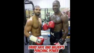 David Haye on what Wilders punching power is like [upl. by Seta937]