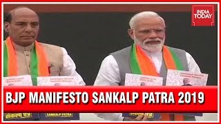 BJP Releases 2019 Manifesto Election 2019 [upl. by Osterhus]