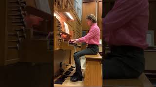 Nikolaus Bruhns Praeludium in E minor bruhns organ praeludium eminor [upl. by Ellga]