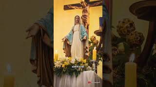 Enthunallamma  Chollunna Nimisham  Christian Devotional Song  Status [upl. by Ardnaskela]