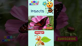 Insects  What are Insects  All About Insects For Kids biologylesson [upl. by Teloiv]