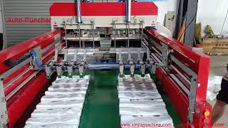 Full Automatic Double Line HDPE LDPE Polythene Biodegradable Plastic Bag Making Machine [upl. by Prussian87]