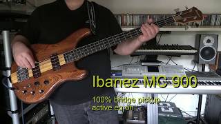 Bass Cover  Chicago  Stay The Night  with Ibanez MC 900 bass [upl. by Linea286]