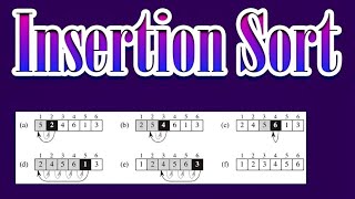 Insertion Sort  Time Complexity  Sorting Algorithm using C  Insertion Sort Algorithm  Part 4 [upl. by Noseimaj633]