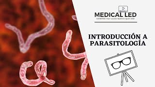 INTRODUCCIÓN A PARASITOLOGÍA Generalidades y clasificación [upl. by Enaitsirk]