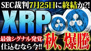 【リップルXRP】7月25日にSEC裁判終結か！100円目前で仕込むなら今がラストチャンス！高騰に向けた投資戦略を徹底解説【仮想通貨】 [upl. by Pia306]