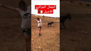 الجمال الجزائري الاصيل 🇩🇿 المغرب و الجزائر خوا خوا 🇲🇦♥️🇩🇿 [upl. by Merkley735]