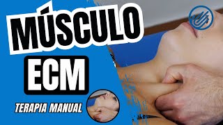 ESTERNOCLEIDOMASTOIDEO Técnica MIOFASCIAL de Puntos Gatillo para ALIVIO del Dolor de Cuello [upl. by Ained]