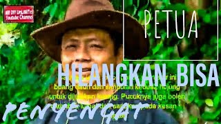 PETUA  Hilangkan Bisa Sengatan Penyengat [upl. by Alikam]